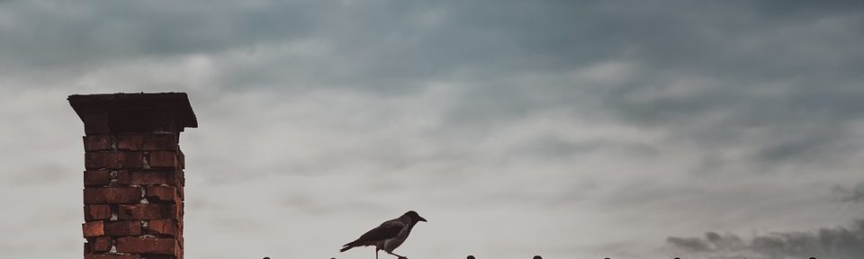 Why A Mortgage Survey Isn’t Enough