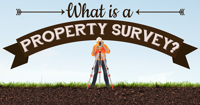 Property surveys2