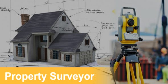 Property surveys3