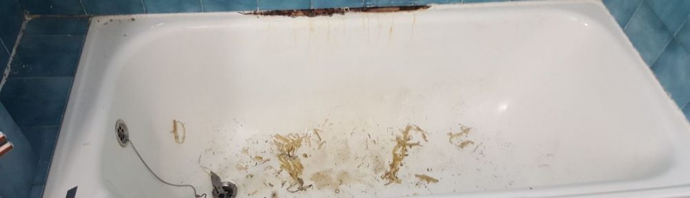 “The bathtub almost crushes me”: the terrible case of a landslide caused by water leaks