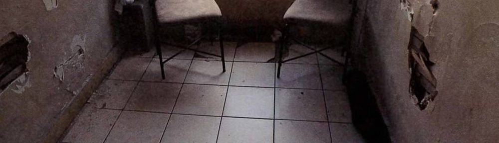 “I feel scammed, the seller never mentioned any of this”: a property beset by pests