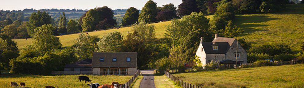 Demand for farmland increases in UK.