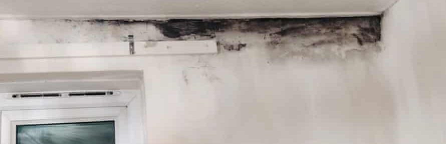 Tenants on east London estate revolt over damp and mouldy homes