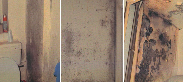 Awaab Ishak’s parents demand accountability