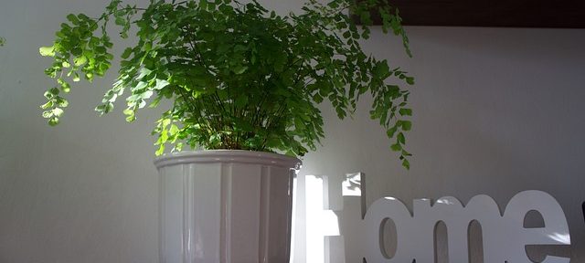 Moving back in with parents boosts adults mental health