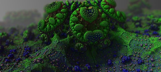 UK Housing: Gove sends letter to council over damp