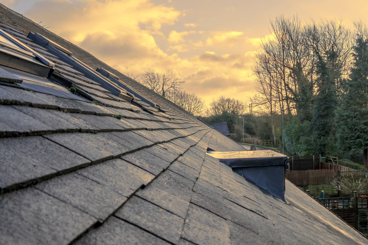 Pre-Purchase Roof Anomaly Survey: Identifying Hidden Defects Before You Buy